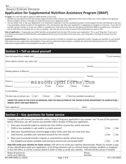 Free Apply For Food Stamps In Missouri PDF Template